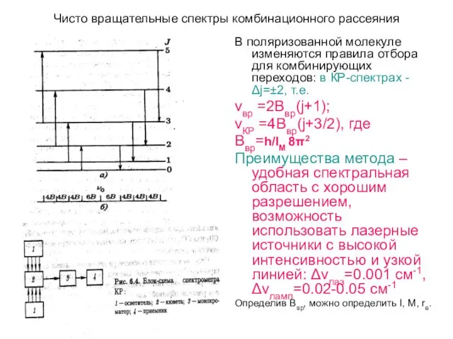 Чисто вращательные спектры комбинационного рассеяния В поляризованной молекуле изменяются правила отбора