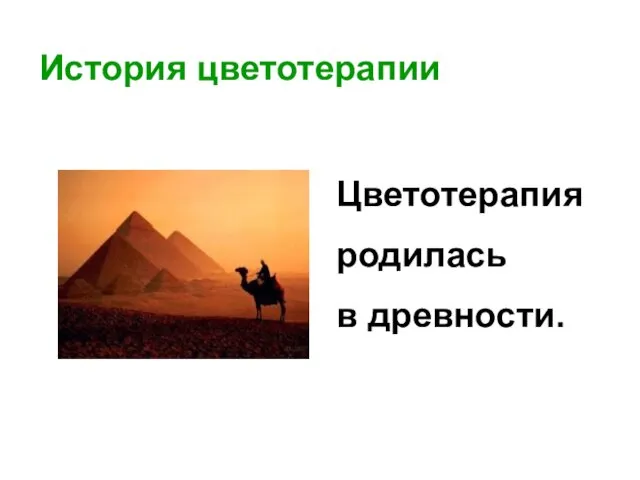 История цветотерапии Цветотерапия родилась в древности.