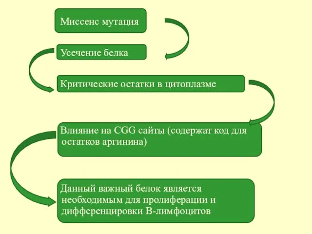 Миссенс мутация Усечение белка Критические остатки в цитоплазме Влияние на CGG