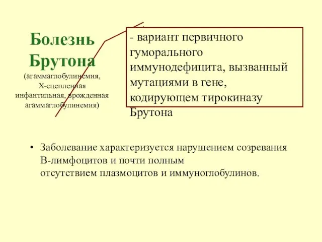 Заболевание характеризуется нарушением созревания В-лимфоцитов и почти полным отсутствием плазмоцитов и