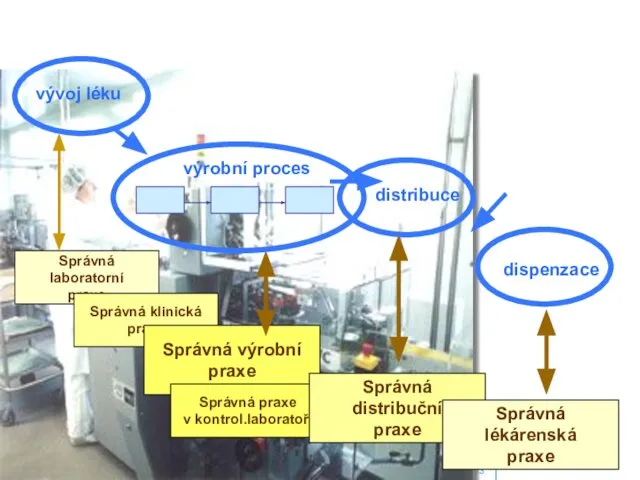 ADAPTAČNÍ SEMINÁŘ LEDEN 2003 výrobní proces vývoj léku Správná laboratorní praxe