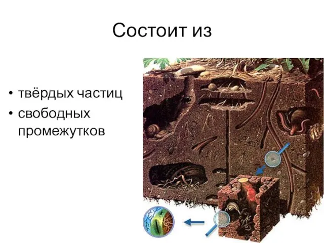 Состоит из твёрдых частиц свободных промежутков