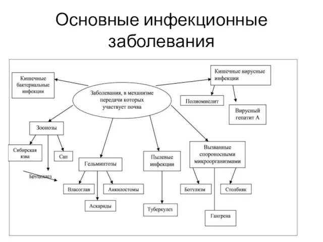 Основные инфекционные заболевания