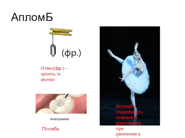 АпломБ Отвес(фр.) – aplomb, le plombe Пломба Апломб – способность сохранять равновесие при движении в балете