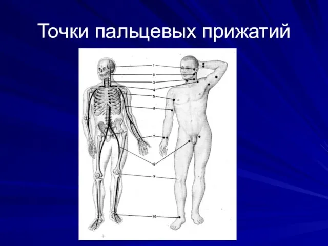 Точки пальцевых прижатий