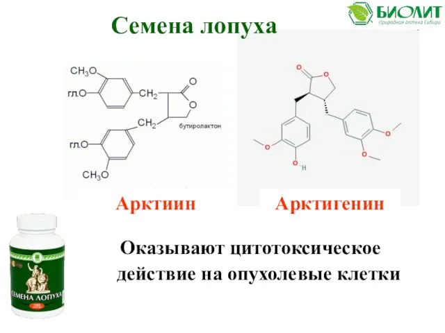 Семена лопуха Оказывают цитотоксическое действие на опухолевые клетки Арктиин Арктигенин