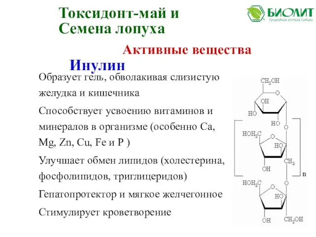 Инулин Образует гель, обволакивая слизистую желудка и кишечника Способствует усвоению витаминов