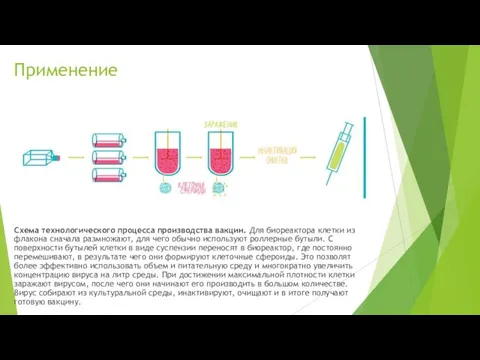 Применение Схема технологического процесса производства вакцин. Для биореактора клетки из флакона