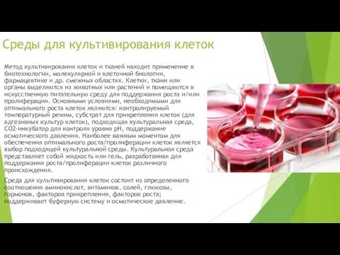 Среды для культивирования клеток Метод культивирования клеток и тканей находит применение