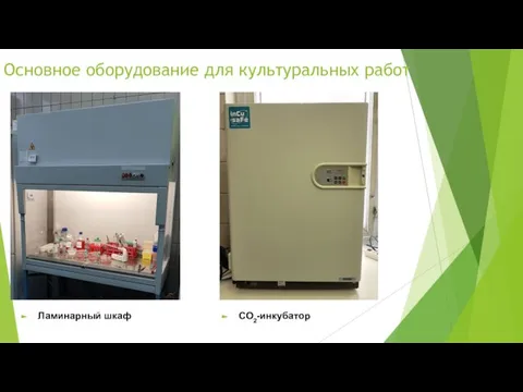 Основное оборудование для культуральных работ Ламинарный шкаф CO2-инкубатор