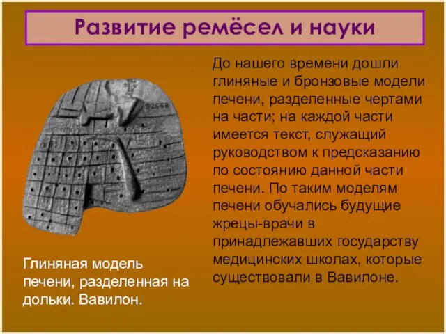 Глиняная модель печени, разделенная на дольки. Вавилон. До нашего времени дошли