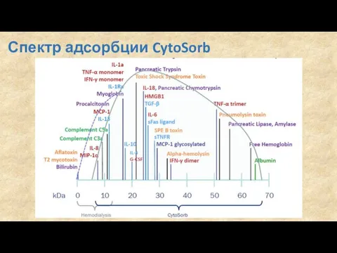 Спектр адсорбции CytoSorb