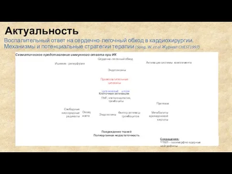 Воспалительный ответ на сердечно-легочный обход в кардиохирургии. Механизмы и потенциальные стратегии