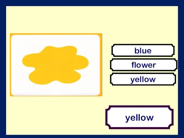 yellow flower yellow blue