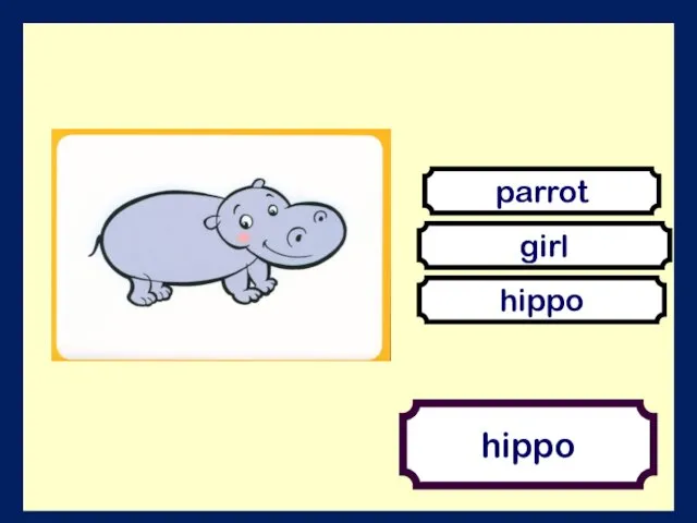 hippo girl hippo parrot