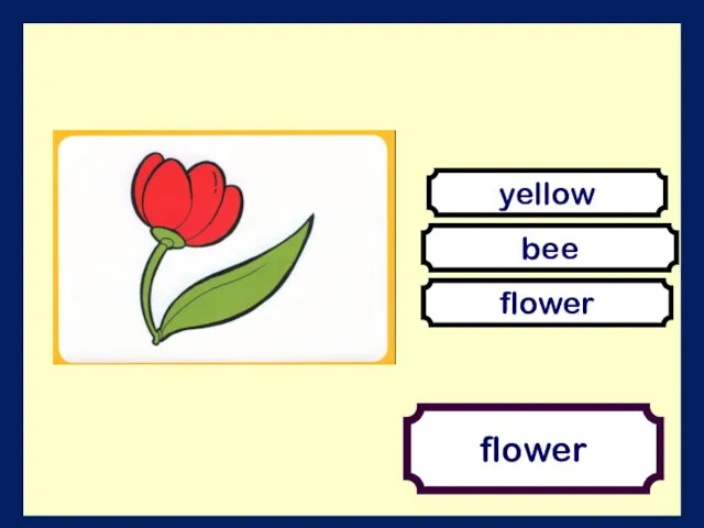 flower bee flower yellow