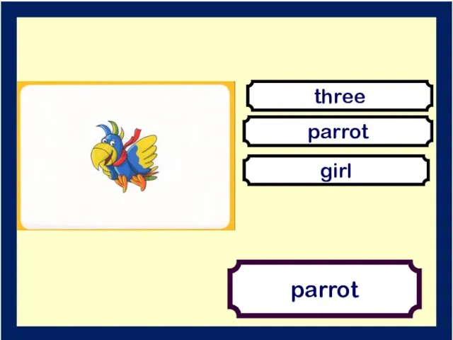 parrot three parrot girl