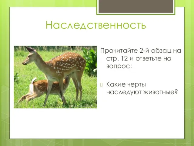 Наследственность Прочитайте 2-й абзац на стр. 12 и ответьте на вопрос: Какие черты наследуют животные?