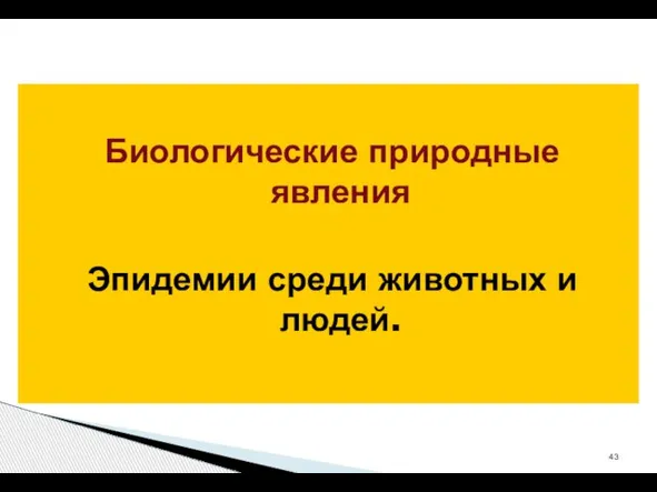 Биологические природные явления Эпидемии среди животных и людей.