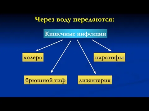 Через воду передаются: Кишечные инфекции холера брюшной тиф паратифы дизентерия