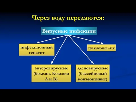 Через воду передаются: Вирусные инфекции инфекционный гепатит полиомиелит энтеровирусные (болезнь Коксаки