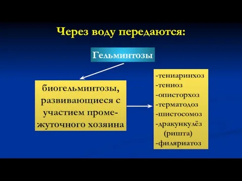 Через воду передаются: Гельминтозы биогельминтозы, развивающиеся с участием проме- жуточного хозяина