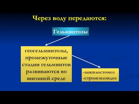 Через воду передаются: Гельминтозы геогельминтозы, промежуточные стадии гельминтов развиваются во внешней среде -анкилостомоз -стронгилоидоз