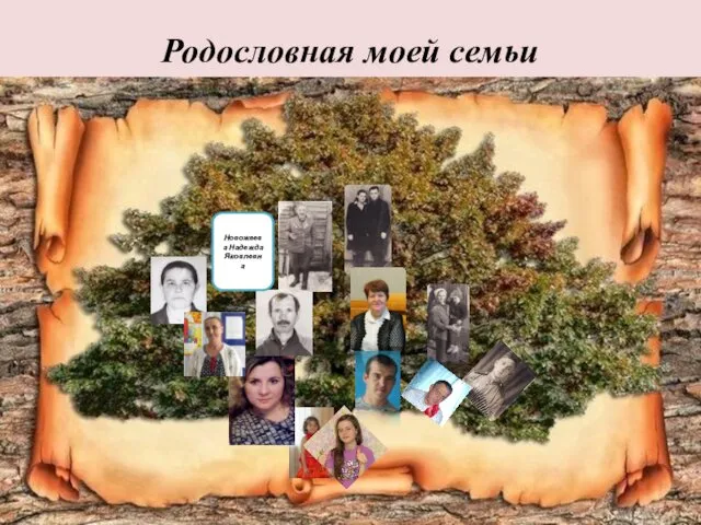 Родословная моей семьи Новожеева Надежда Яковлевна