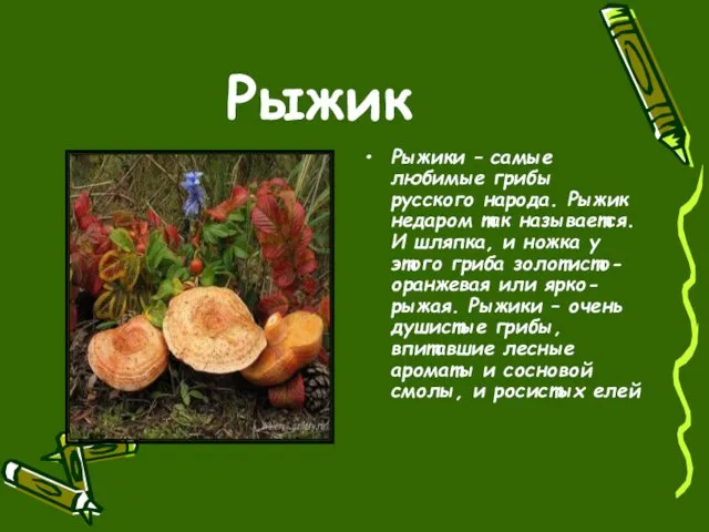 Рыжик Рыжики – самые любимые грибы русского народа. Рыжик недаром так