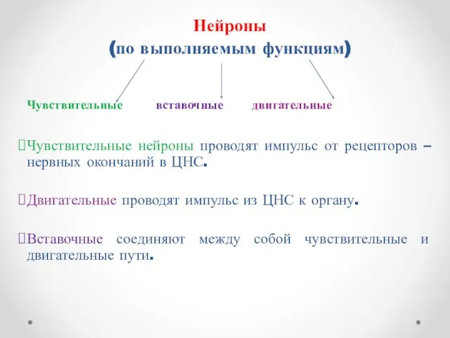 Нейроны (по выполняемым функциям) Чувствительные вставочные двигательные Чувствительные нейроны проводят импульс