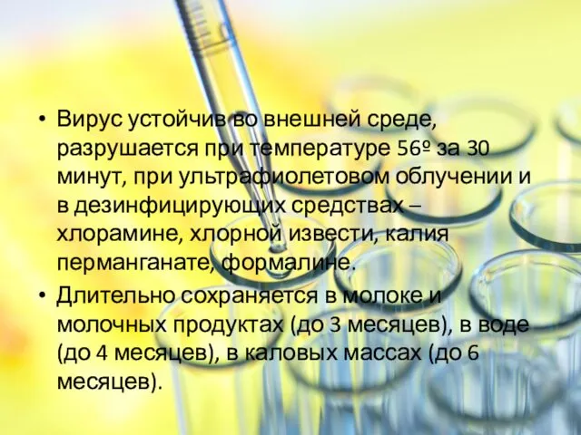 Вирус устойчив во внешней среде, разрушается при температуре 56º за 30