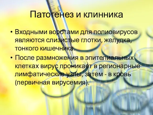 Патогенез и клинника Входными воротами для полиовирусов являются слизистые глотки, желудка,