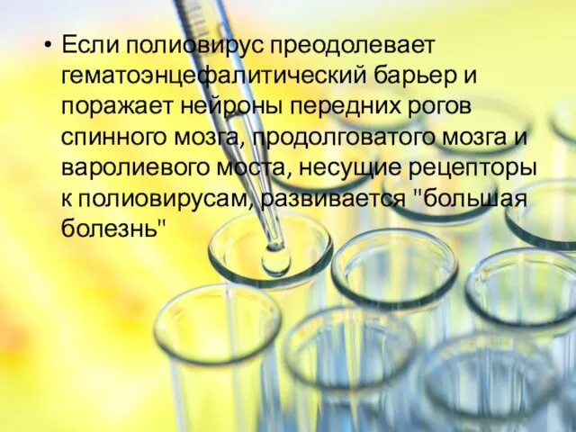 Если полиовирус преодолевает гематоэнцефалитический барьер и поражает нейроны передних рогов спинного