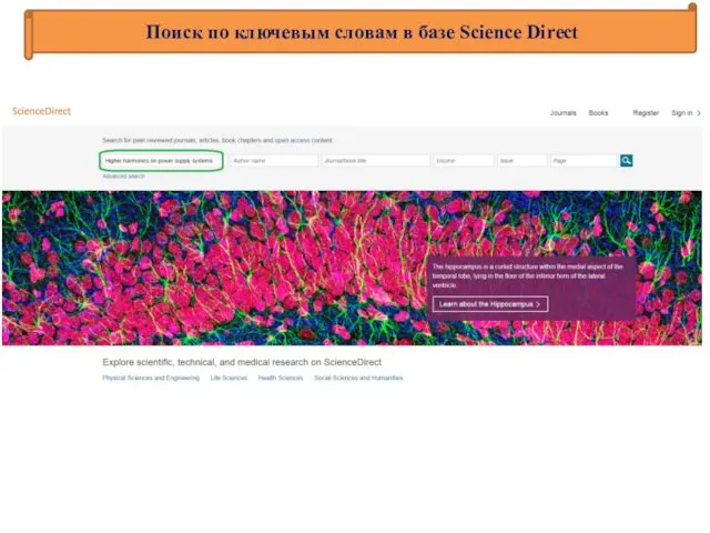 Поиск по ключевым словам в базе Science Direct