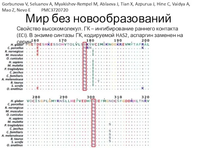 Мир без новообразований Свойство высокомолекул. ГК – ингибирование раннего контакта (ECI).