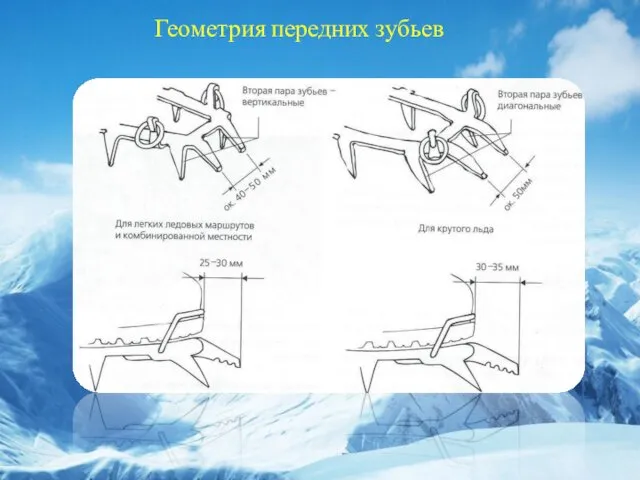 Геометрия передних зубьев