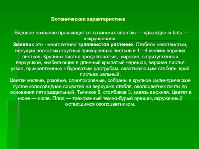 . Видовое название происходит от латинских слов bis — «дважды» и