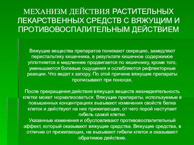 Вяжущие вещества препаратов понижают секрецию, замедляют перистальтику кишечника, в результате кишечное