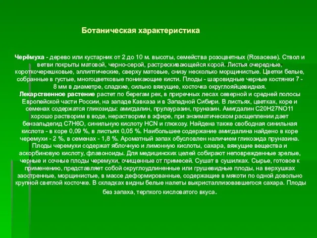 Черёмуха - дерево или кустарник от 2 до 10 м. высоты,