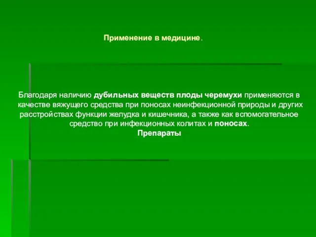 Благодаря наличию дубильных веществ плоды черемухи применяются в качестве вяжущего средства