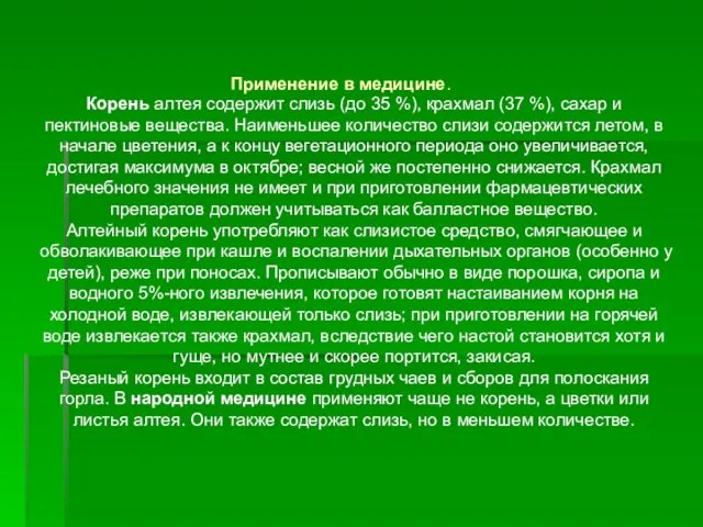 Корень алтея содержит слизь (до 35 %), крахмал (37 %), сахар