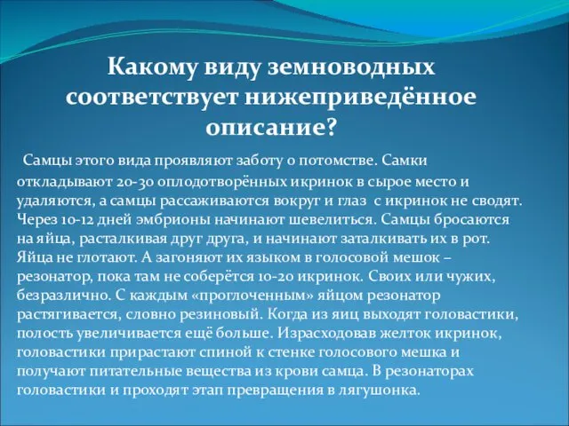 Какому виду земноводных соответствует нижеприведённое описание? Самцы этого вида проявляют заботу