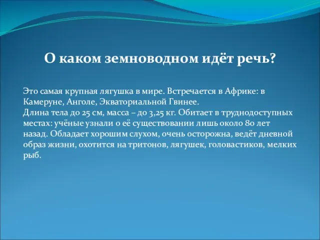 О каком земноводном идёт речь? Это самая крупная лягушка в мире.