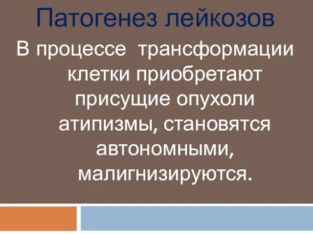 Патогенез лейкозов В процессе трансформации клетки приобретают присущие опухоли атипизмы, становятся автономными, малигнизируются.