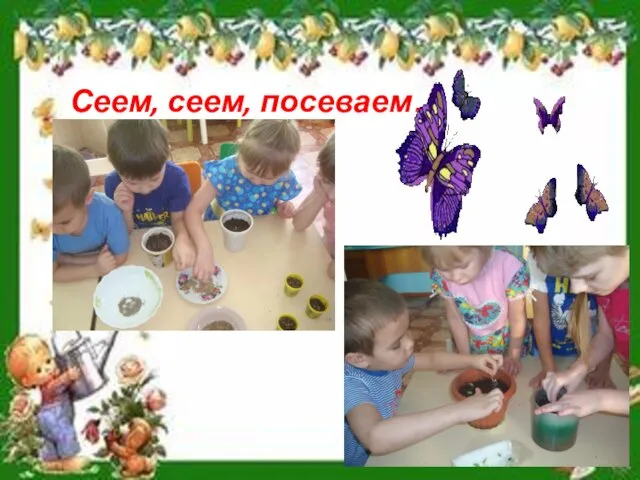 Сеем, сеем, посеваем…