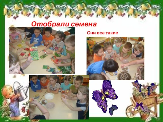 Отобрали семена Они все такие разные