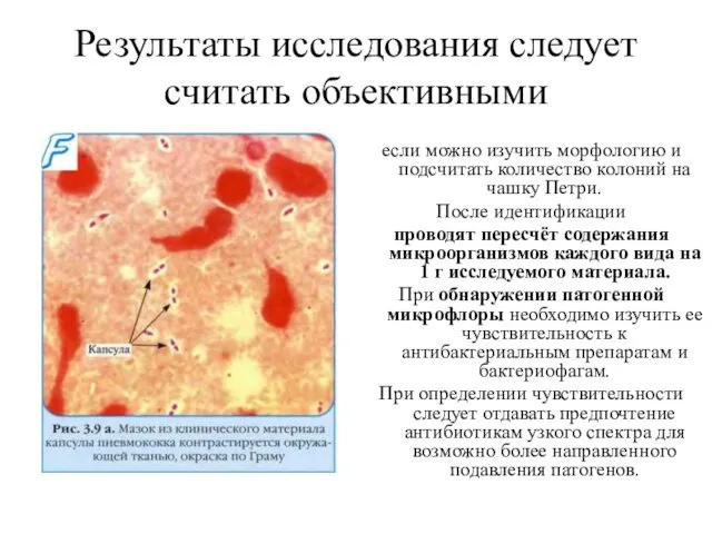 Результаты исследования следует считать объективными если можно изучить морфологию и подсчитать