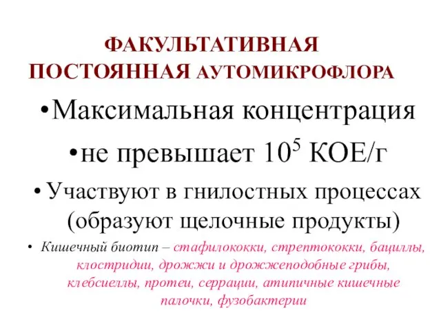 ФАКУЛЬТАТИВНАЯ ПОСТОЯННАЯ АУТОМИКРОФЛОРА Максимальная концентрация не превышает 105 КОЕ/г Участвуют в