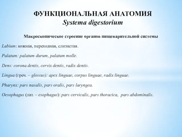 Макроскопическое строение органов пищеварительной системы Labium: кожная, переходная, слизистая. Palatum: palatum