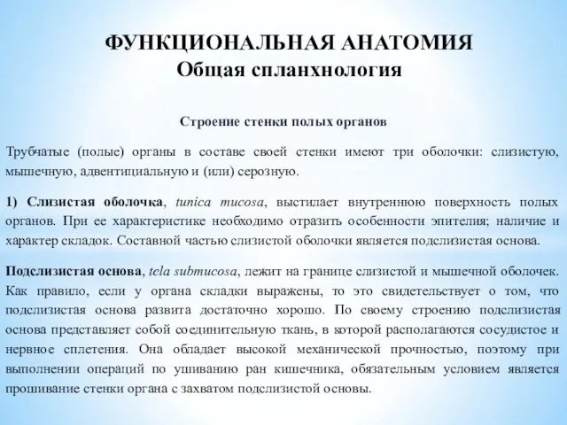 Строение стенки полых органов Трубчатые (полые) органы в составе своей стенки